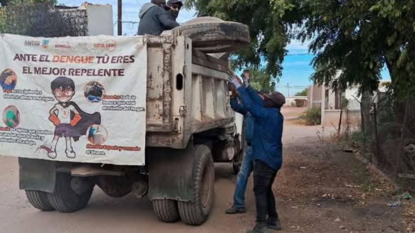 Aumento del dengue enciende las alarmas en municipios de la Región del Mayo