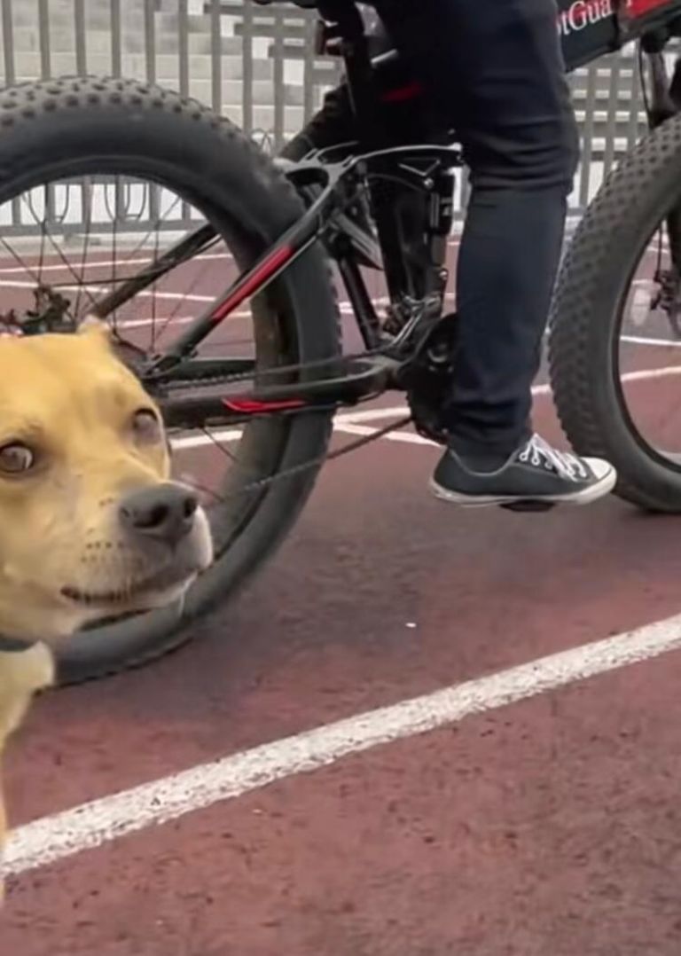 Se dice que murió por envenenamiento 