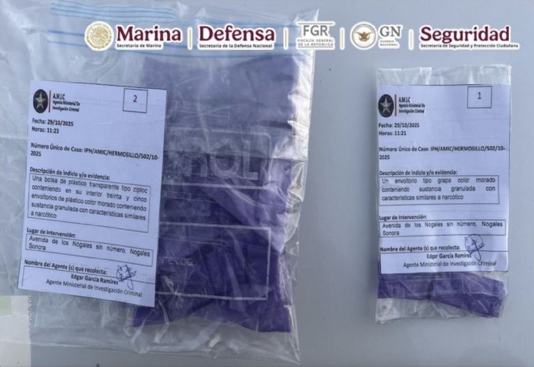 La detención ocurrió este jueves, según García Harfuch. Foto: FGJES