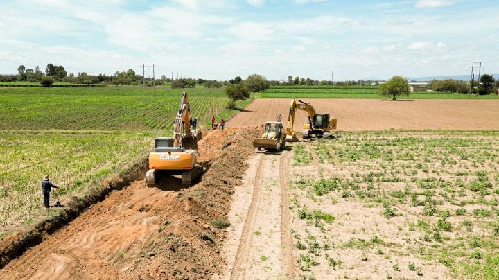 Ante sequía y falta de apoyos, existe riesgo para el ciclo agrícola 2025-2026: Alcano