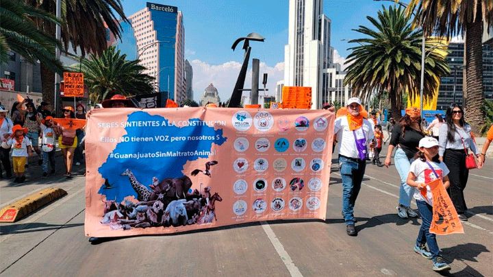 Tráfico en CDMX: Se espera caos por marchas y bloqueos este 5 de octubre en la capital