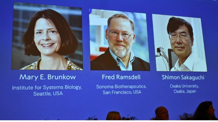 El Premio Nobel de Medicina 2025 se otorga a Mary E. Brunkow, Fred Ramsdell y Shimon Sakaguchi