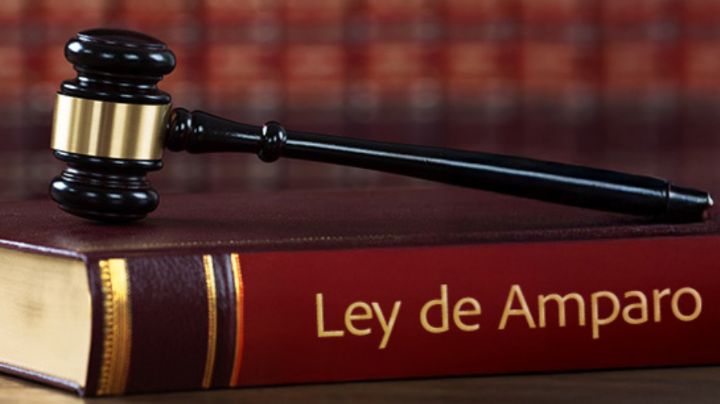 Cámara de Diputados recibe Reforma a la Ley de Amparo; estos son los cambios que pide Sheinbaum