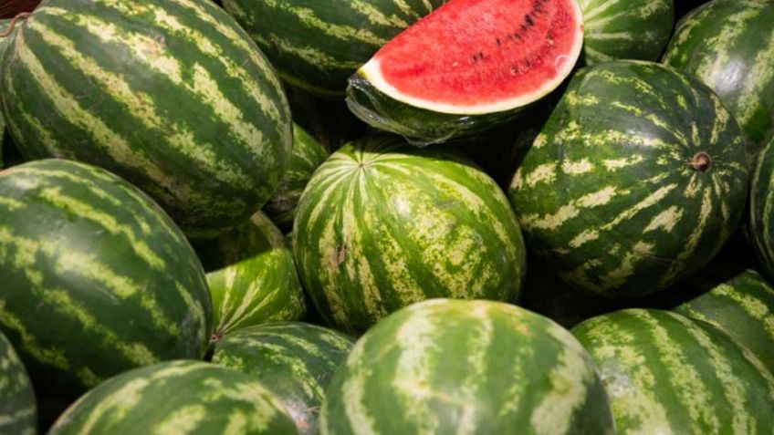 Siembran tres mil 300 hectáreas de cultivos adelantados en los valles de Guaymas y Empalme