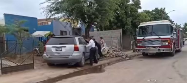 Se estrelló contra el árbol 
