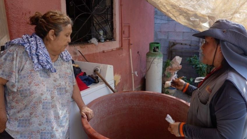 El 80% de los patios en Navojoa acumulan criaderos del dengue