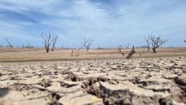 Foto que representa a Registran 15 municipios en Sonora algún problema de sequía: Monitor de la Conagua