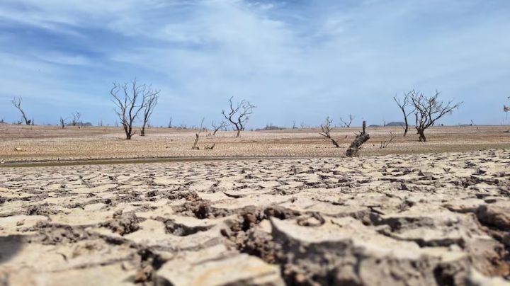 Registran 15 municipios en Sonora algún problema de sequía: Monitor de la Conagua