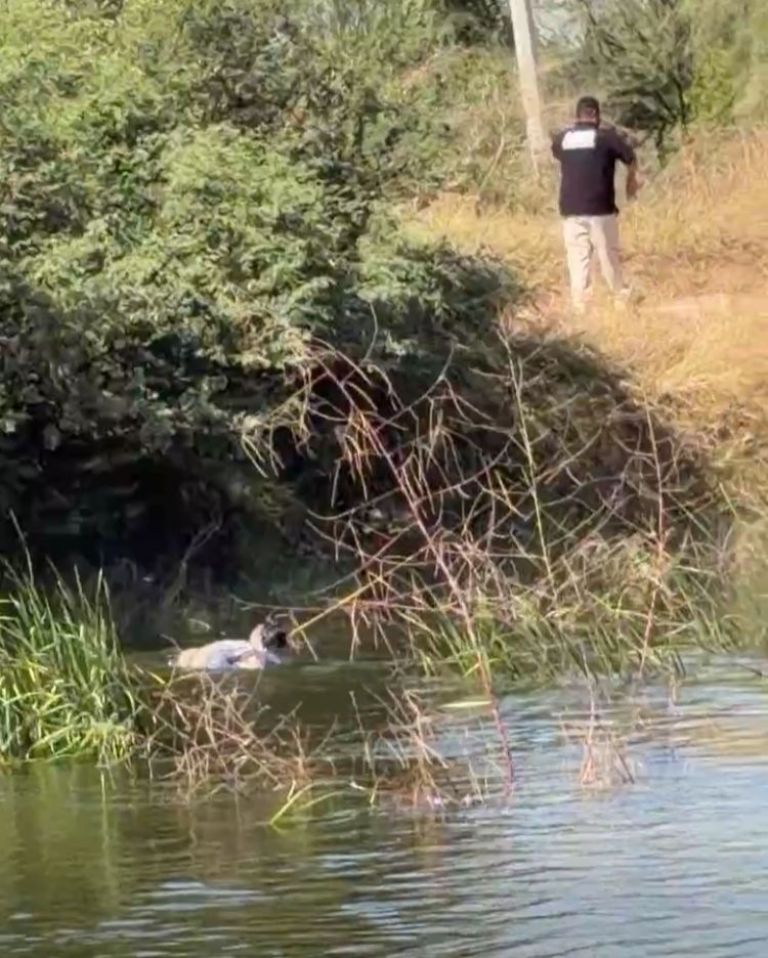 Fue encontrado el cuerpo de un hombre 