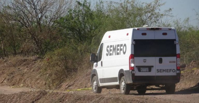 El hallazgo se registró muy cerca del basurón municipal.