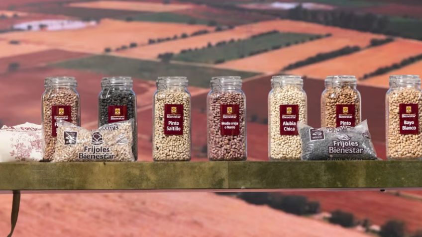 Frijoles Bienestar ya están a la venta: ¿Cuánto cuesta el kilo y dónde comprarlo?