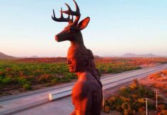 Foto ilustrativa de nota Sol y ALTAS temperaturas en Ciudad Obregón: Así estará el clima Sonora HOY 15 de noviembre