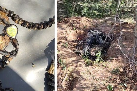 Encuentran cuerpo de hombre en carretera de Hermosillo; estaba embolsado y enterrado en fosa