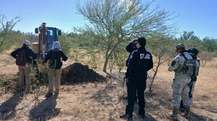 Localizan nuevo cuerpo en cementerio clandestino de Hermosillo; sube la cifra a 65 víctimas