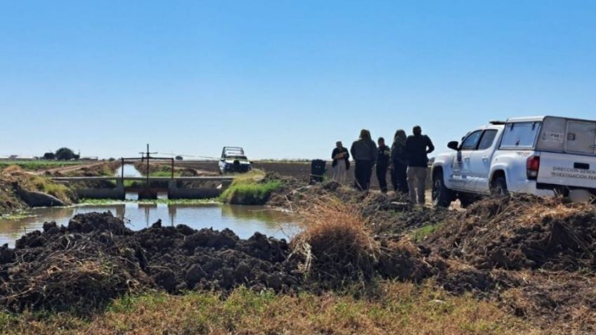 Ejecutan a balazos a un hombre y abandonan su cuerpo junto a tierras de cultivo en Navolato
