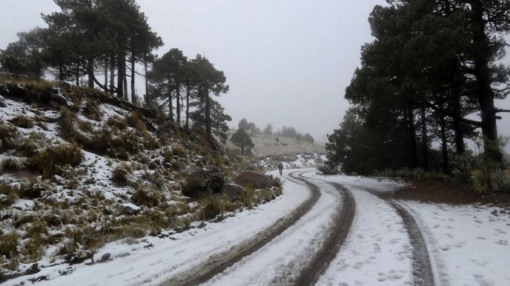Pronóstico del clima en México: Así afectarán los Frentes Fríos y las HELADAS hoy