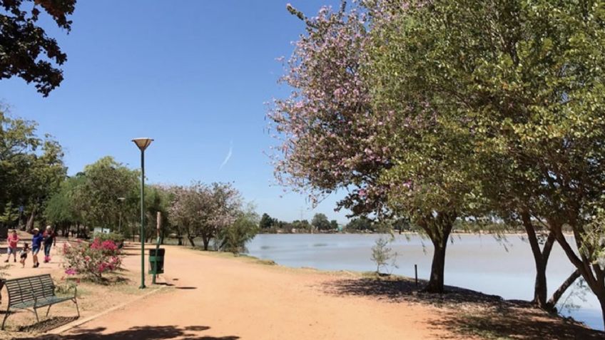 Clima Sonora HOY: Pronóstico de TEMPERATURAS en Ciudad Obregón sábado 29 de noviembre