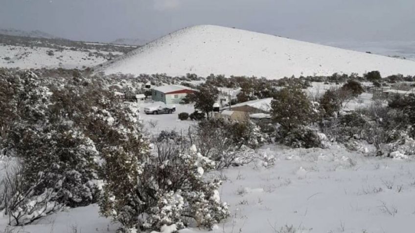 Sonora emite alerta invernal: Esperan NIEVE, LLUVIAS fuertes y vientos extremos esta semana