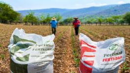 Foto que representa a Sader impulsa una estrategia intensiva para la entrega de fertilizante en Cajeme y Navojoa