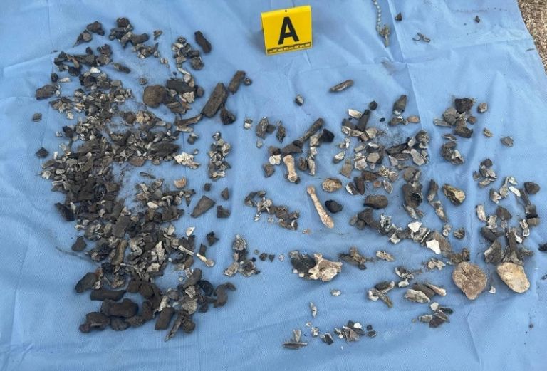 Los huesos fueron recuperados y puestos a disposición de autoridades