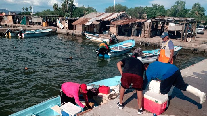 Sonora: Sector ribereño está al borde del colapso por falta de apoyo y escasez de recursos