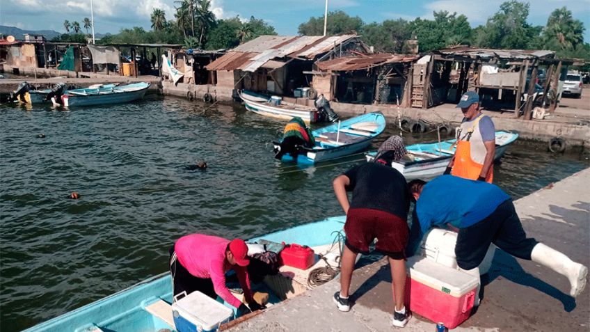 Sonora: Sector ribereño está al borde del colapso por falta de apoyo y escasez de recursos
