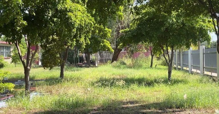 Padres pidieron la limpieza del plantel