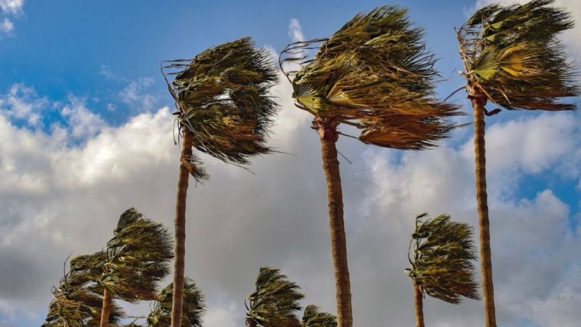 Así estará el CLIMA en Sonora HOY viernes 7 de noviembre: Mañanas fría y tarde calurosa