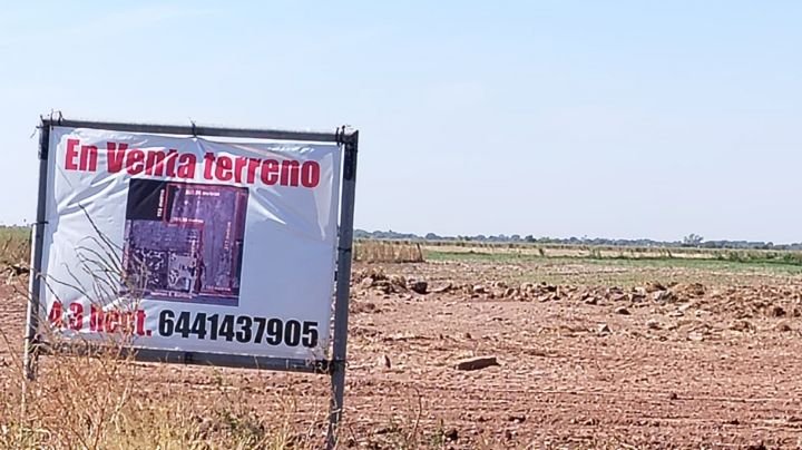 Productores de Ciudad Obregón logran avances, pero la lucha por precios de garantía sigue