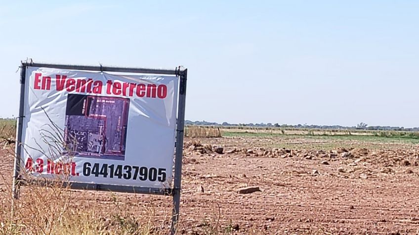 Productores de Ciudad Obregón logran avances, pero la lucha por precios de garantía sigue