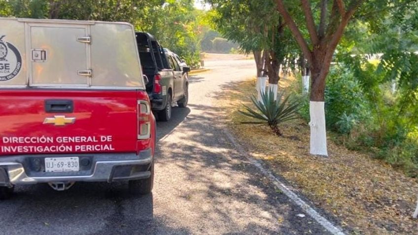 Terrible hallazgo en Sinaloa: Abandonan a cuatro jóvenes muertos a orillas de carretera