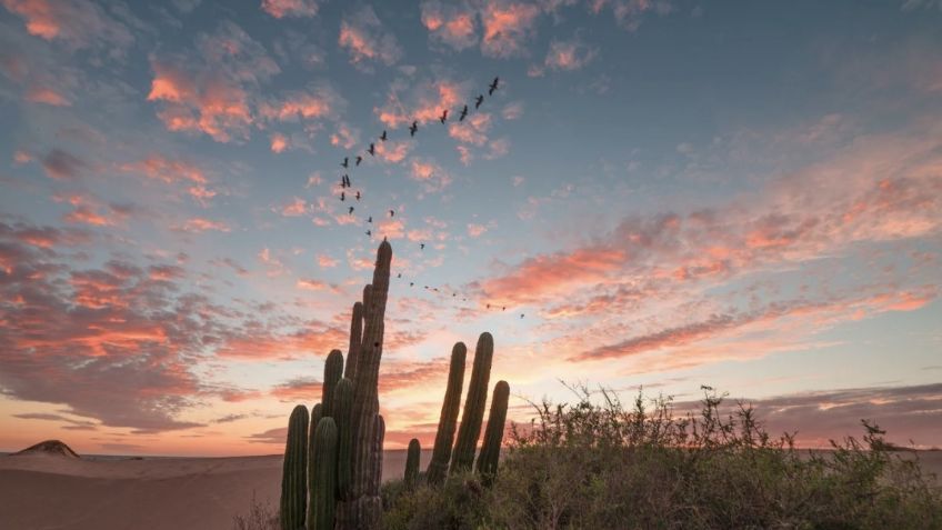Temperaturas en Hermosillo HOY 1 de diciembre: Pronóstico del clima en Sonora, según Conagua