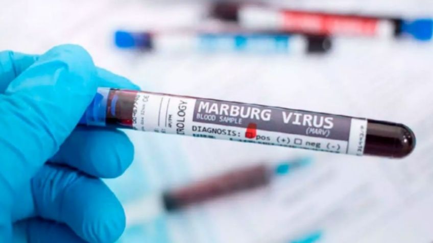 Etiopía reporta seis fallecidos por brote de virus de Marburgo; hay otras cinco en tratamiento