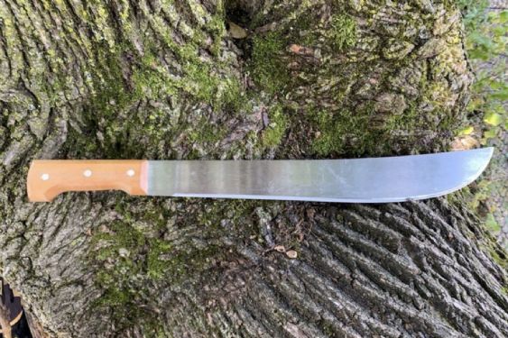 Intento de FEMINICIDIO en Chiapas: Sujetos ATACAN con MACHETE a 2 mujeres; así los capturaron