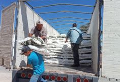 Foto ilustrativa de nota Impulsa Sader en Sonora fortalecimiento del sector ganadero, pesquero y agrícola