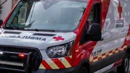 Foto que representa a CDMX: Recién nacido sin vida es abandonado bajo un puente, perros alertan a transeúnte en Tlalpan