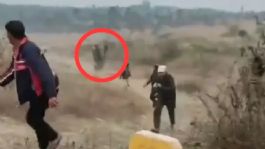 Foto que representa a VIDEO: Elefante ataca a turistas tras intentar tomarse una selfie con él; hay una persona muerta