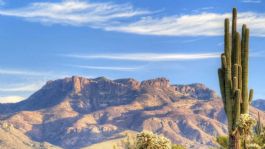 Foto que representa a Clima en Sonora HOY viernes 19 de diciembre: Conagua prevé mañana FRÍA y tarde con CALOR