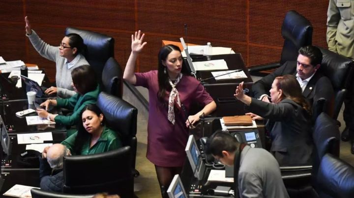 Son 10 los aspirantes para estar al frente de la FGR, Activan emergencia por gusano barrenador  y más en Top 3 México