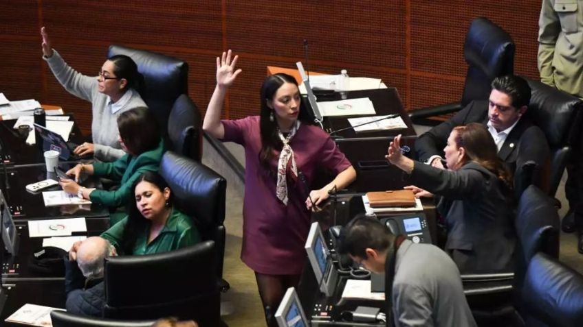 Son 10 los aspirantes para estar al frente de la FGR, Activan emergencia por gusano barrenador  y más en Top 3 México