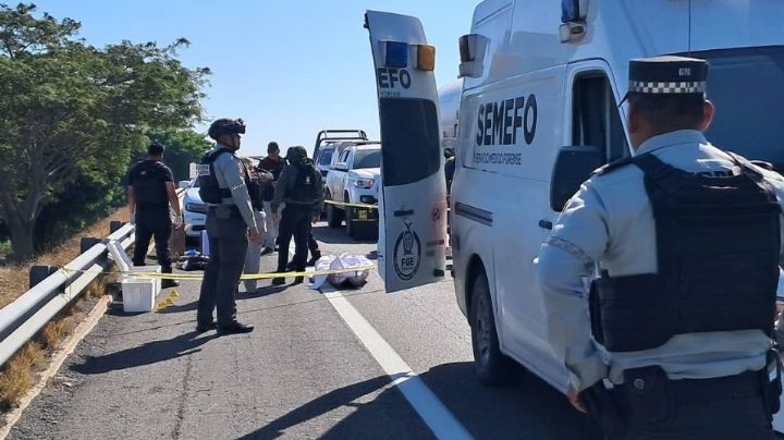 Encuentran tres hieleras con aparentes restos humanos junto a una carretera al sur de Culiacán