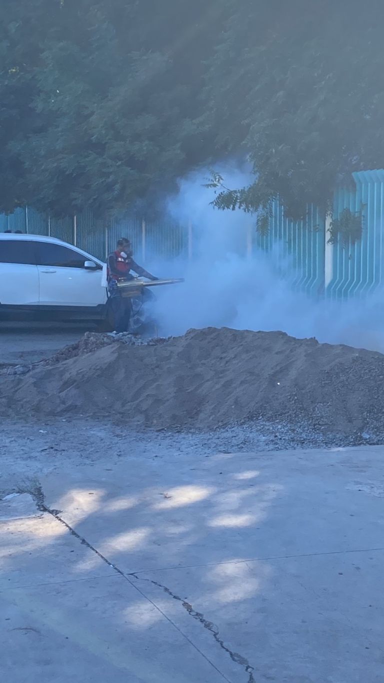 Escuelas de la Región Yaqui en el sur de Sonora solicitan fumigación tras incremento en casos de dengue