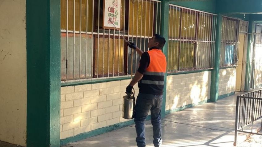 Escuelas de la Región Yaqui en el sur de Sonora solicitan fumigación tras incremento en casos de dengue