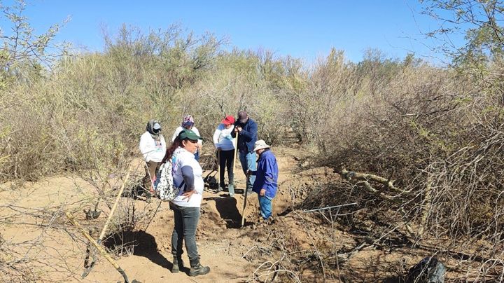 102 cuerpos fueron localizados por las Guerreras Buscadoras durante 2025; continúan las búsquedas de desaparecidos