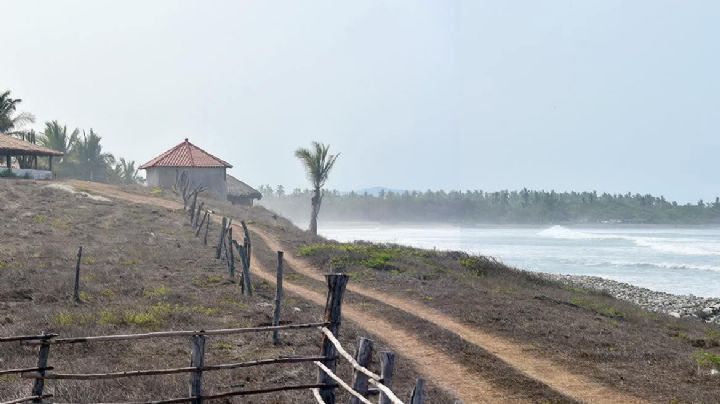 Joven estadounidense fallece luego de ataque de tiburón en Guerrero: Esto se sabe del SINIESTRO