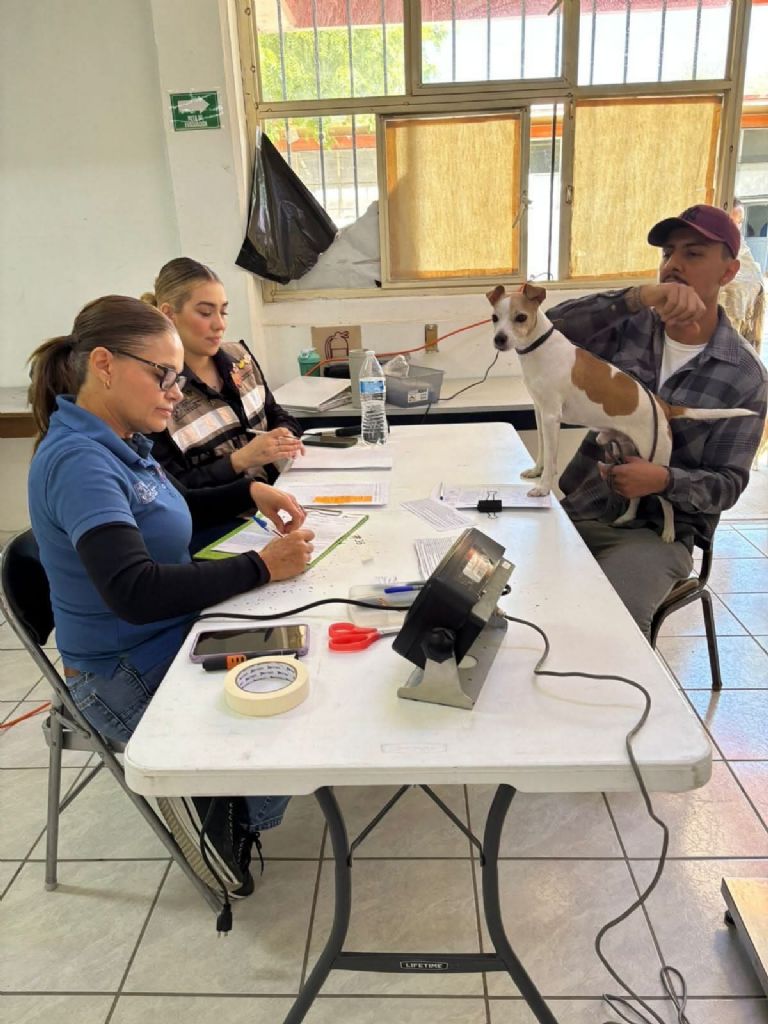 Dirección General de Protección y Bienestar Animal registra más de 15 mil servicios este 2025 en Hermosillo