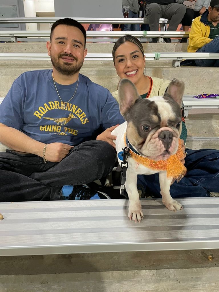 Disfrutan perritos de los Naranjeros de Hermosillo la última serie del rol regular de la LAMP