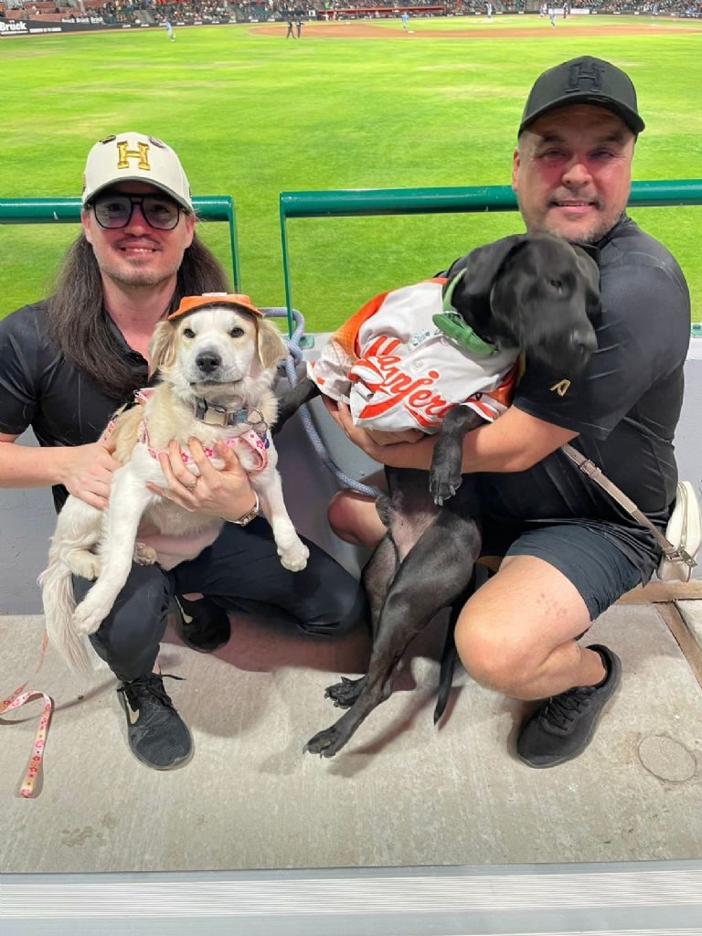 Disfrutan perritos de los Naranjeros de Hermosillo la última serie del rol regular de la LAMP