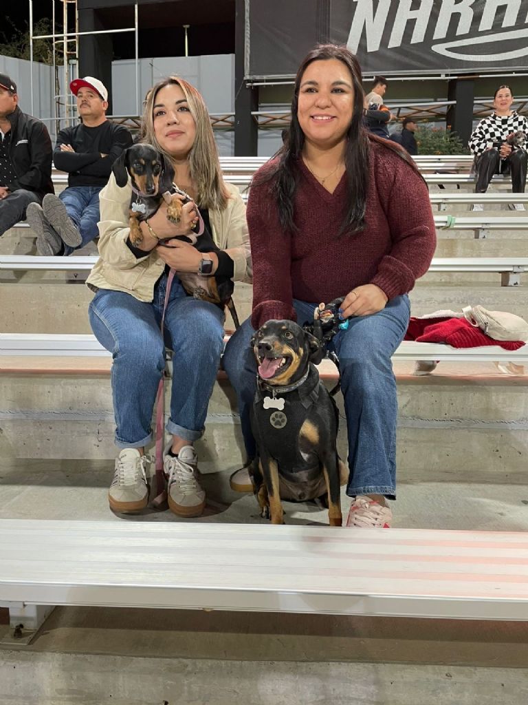Disfrutan perritos de los Naranjeros de Hermosillo la última serie del rol regular de la LAMP