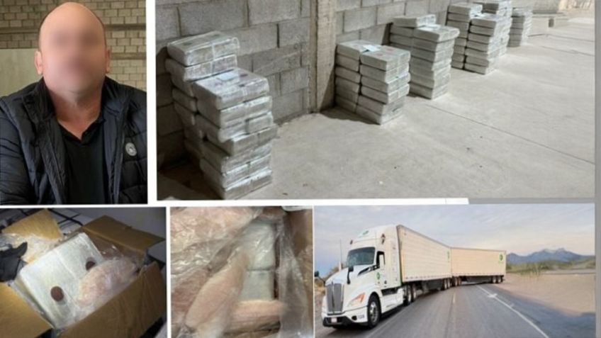 Cae chofer de tráiler con 400 kilos de droga en Sonora; estaba oculta entre pescado congelado